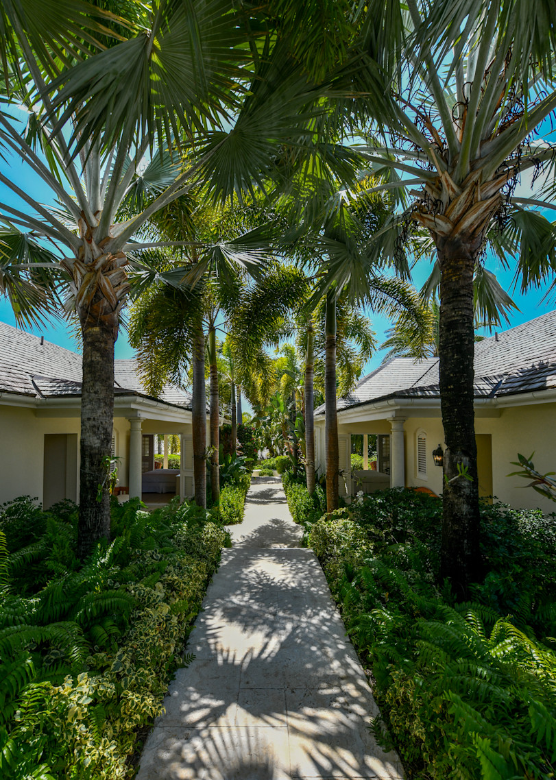 EXT03-SUNC-Walkways-2407JMR22222