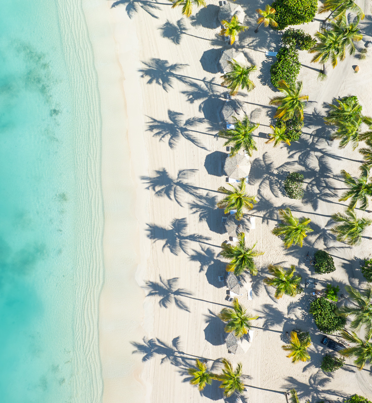 JBI - Beach aerial shot