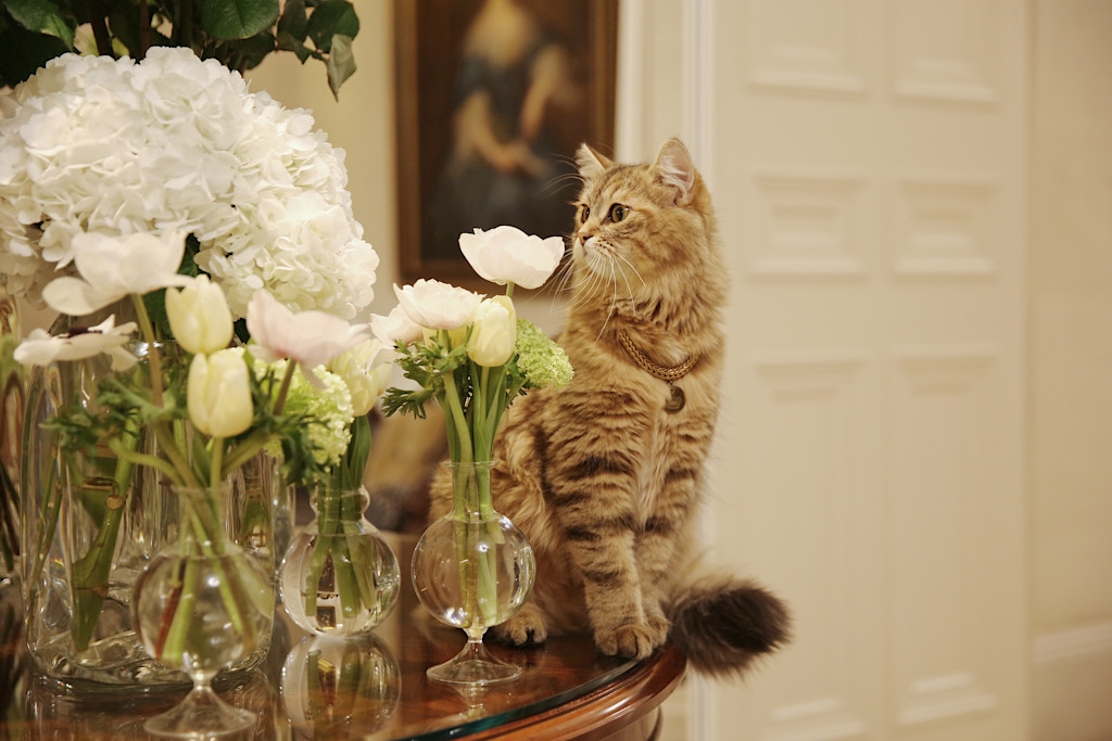 Lilibet - The Lanesborough