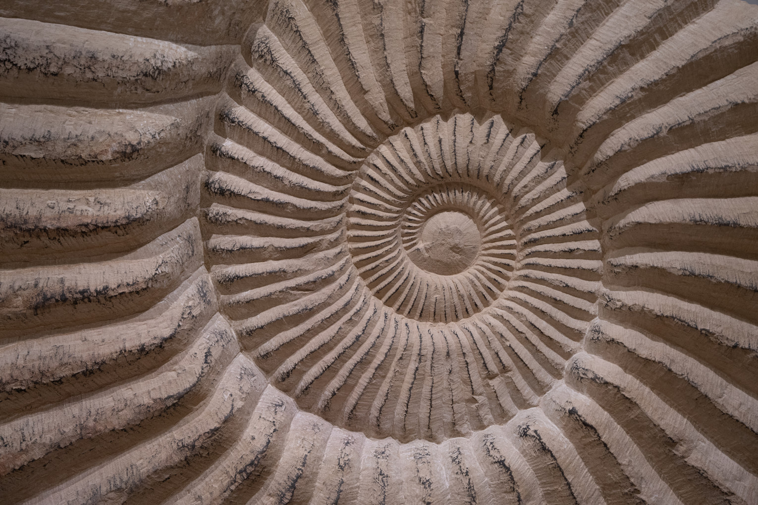 brenners-park-hotel-spa-spa1