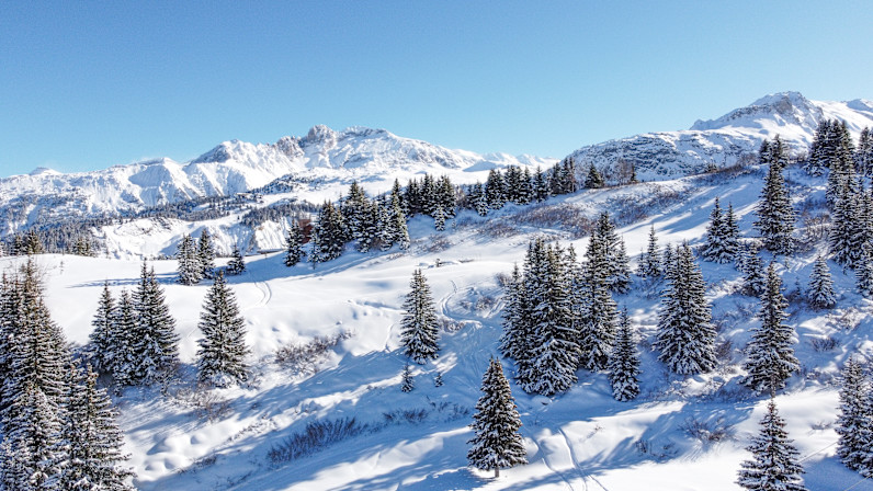 APG - Aerial view of the Jardin Alpin