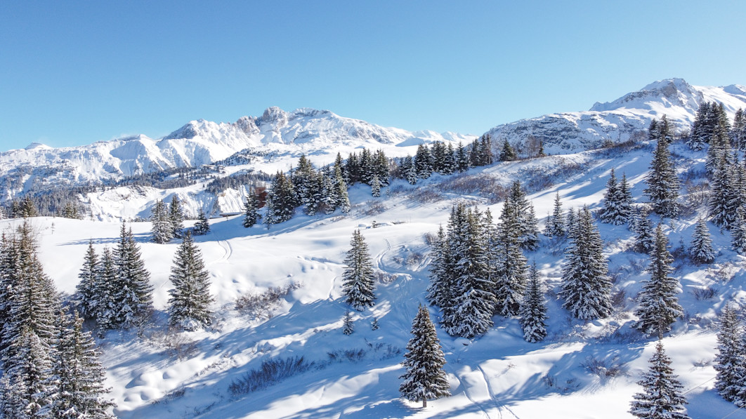 APG - Aerial view of the Jardin Alpin