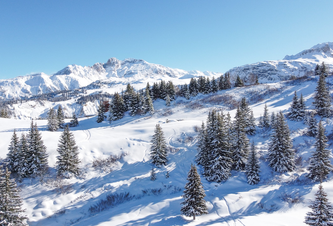 APG - Aerial view of the Jardin Alpin