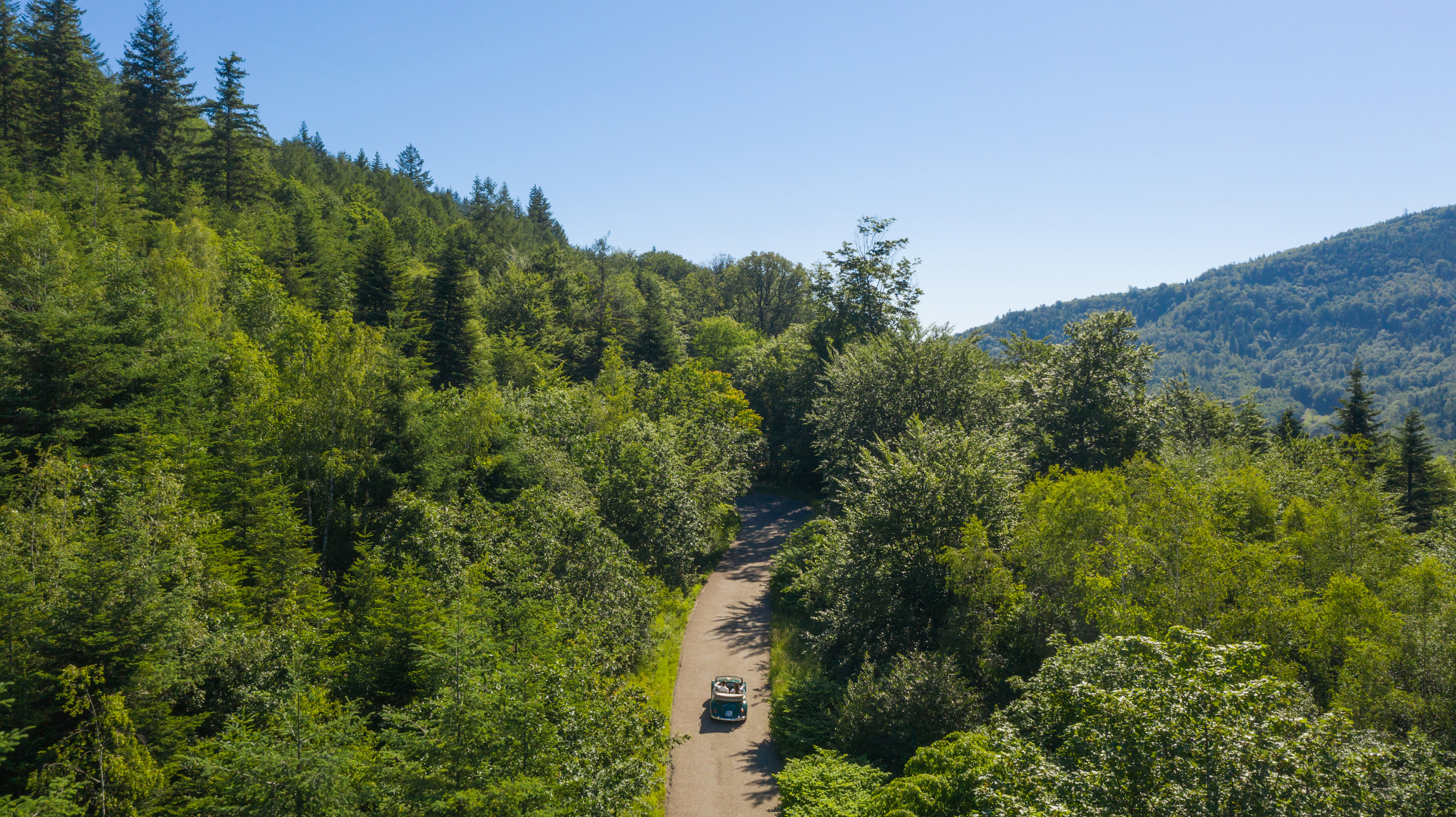 BPH - Destination - Black Forest