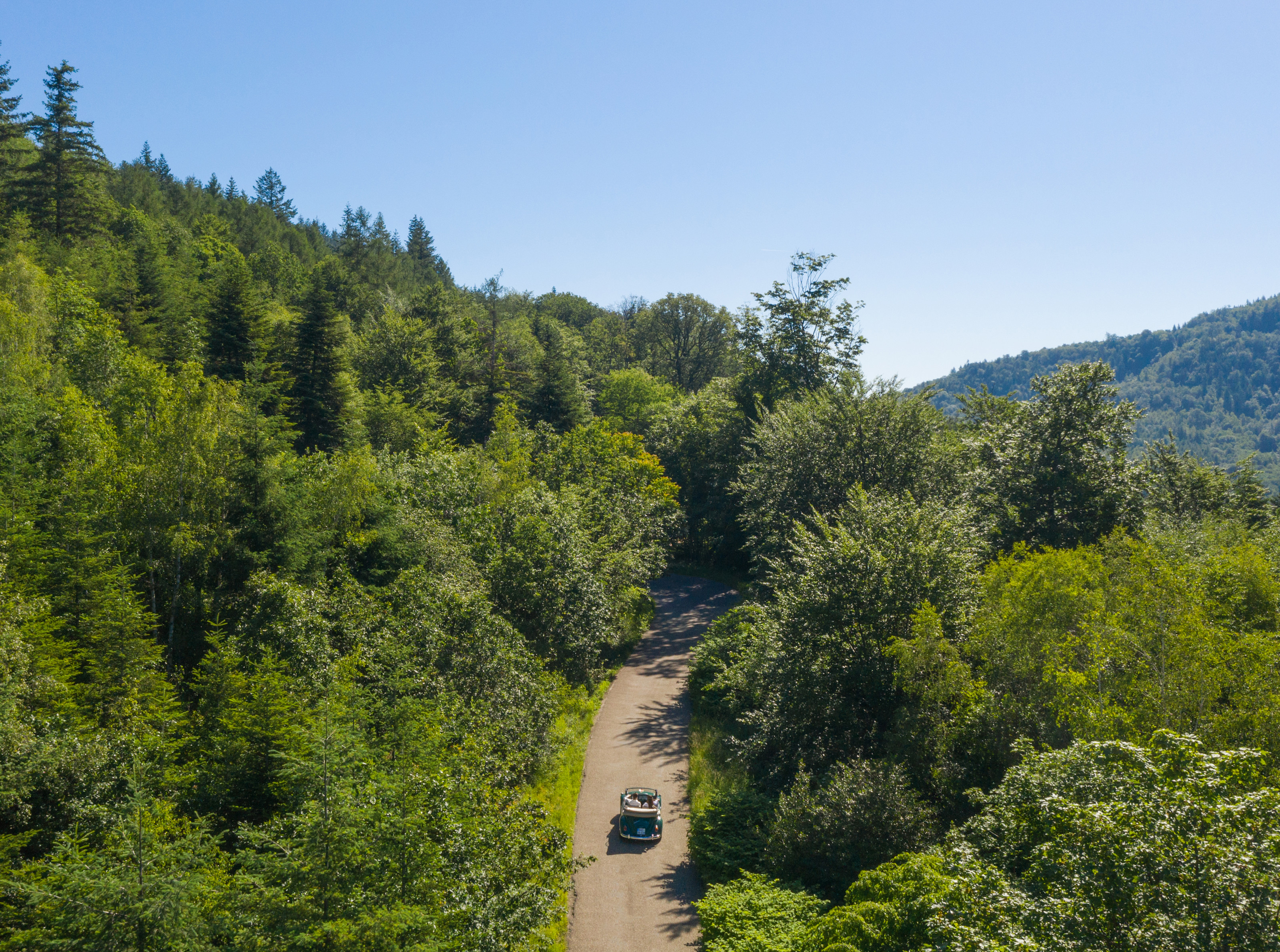 BPH - Destination - Black Forest