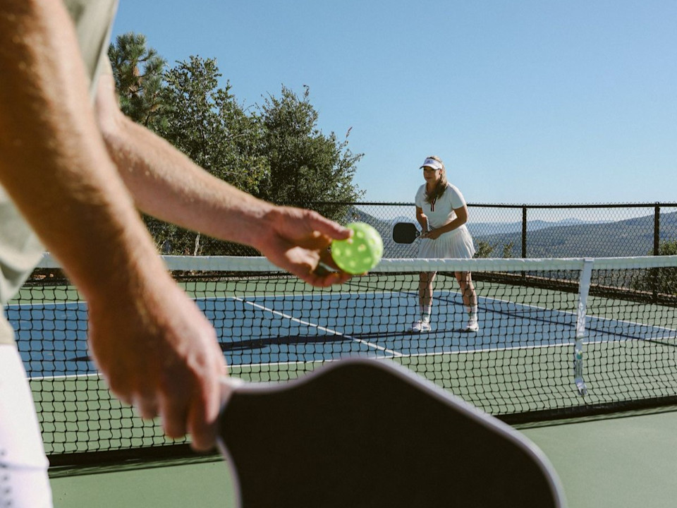VIN - destination page - Pickleball