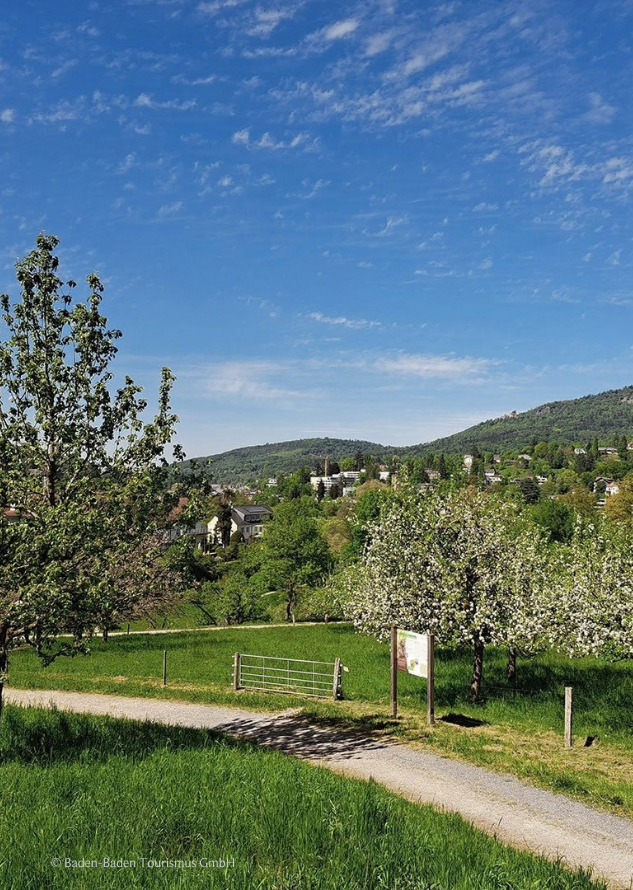BPH - Activities - Leisberg Trail