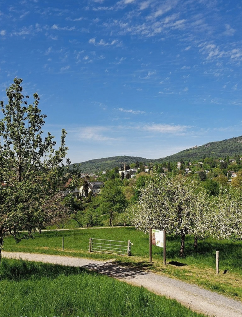 BPH - Activities - Leisberg Trail