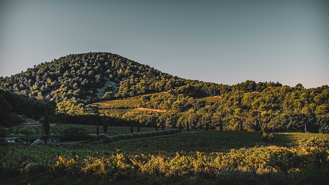 LAN - Domaine du Vieux Télégraphe Wine Dinner