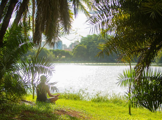 SAO - Parque Ibirapuera