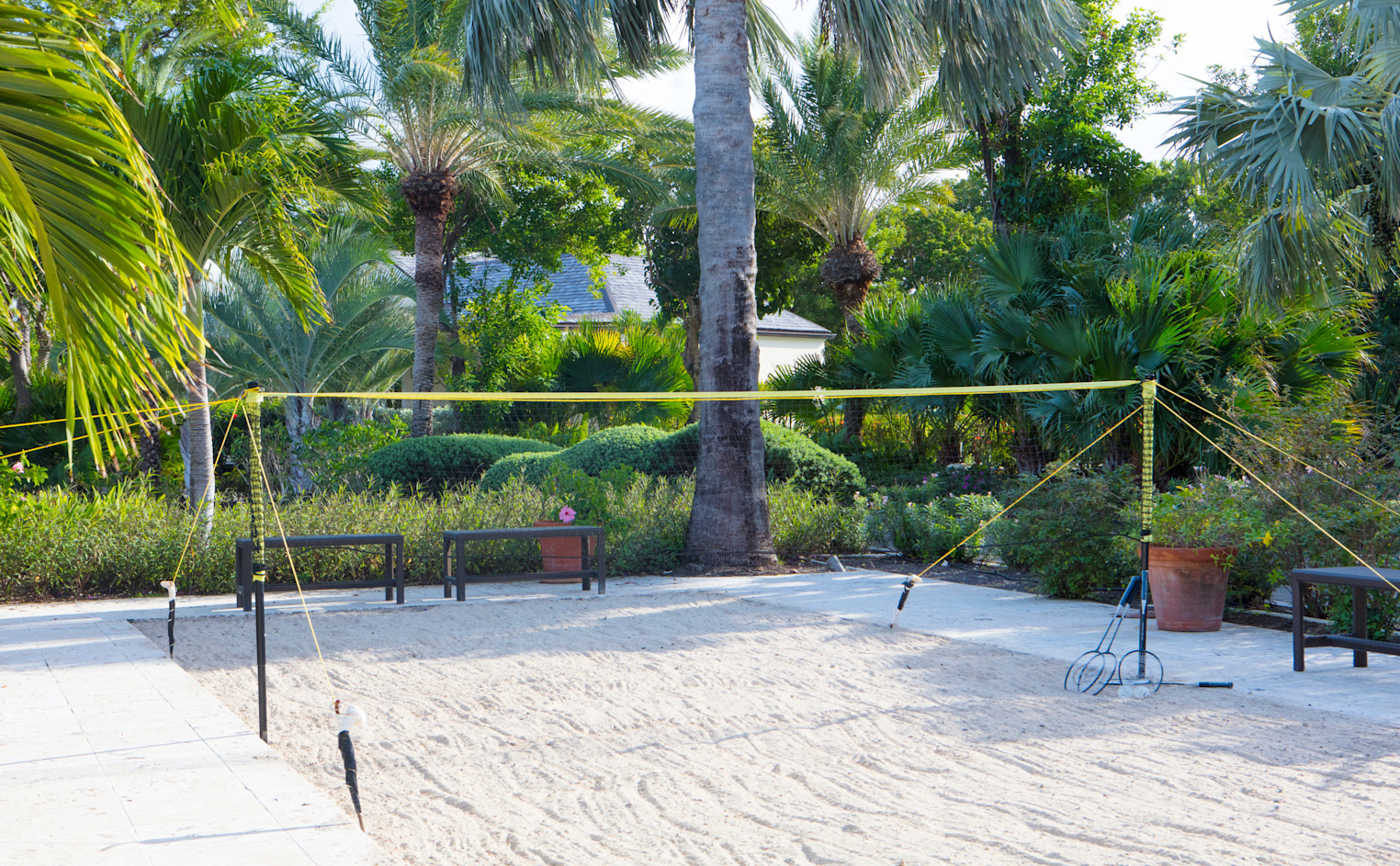 Volleyball - OLEANDER