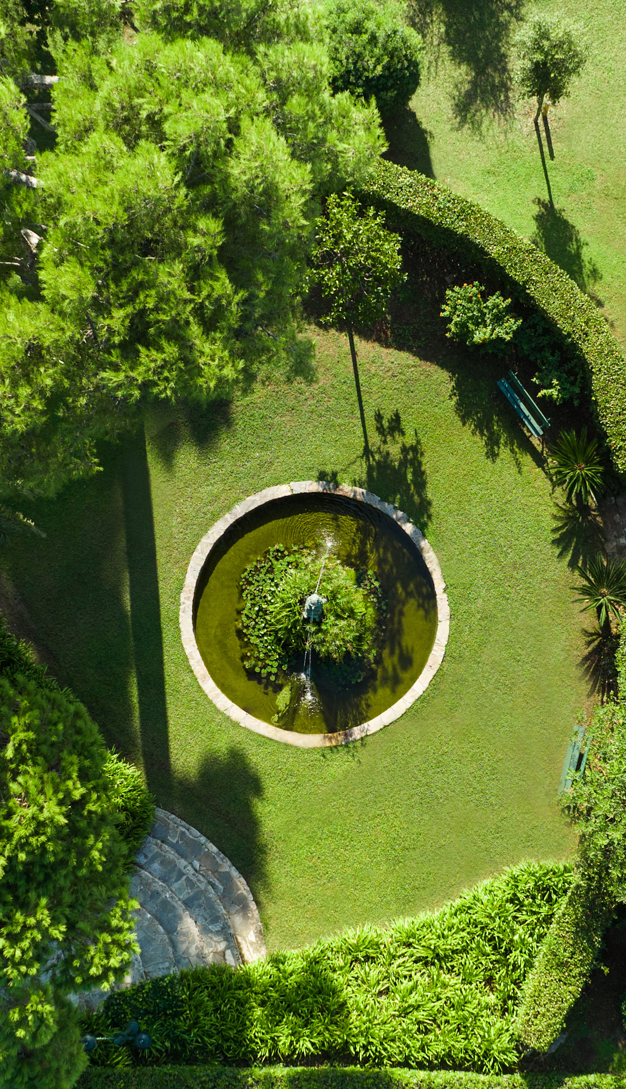 HDC - Turtle fountain