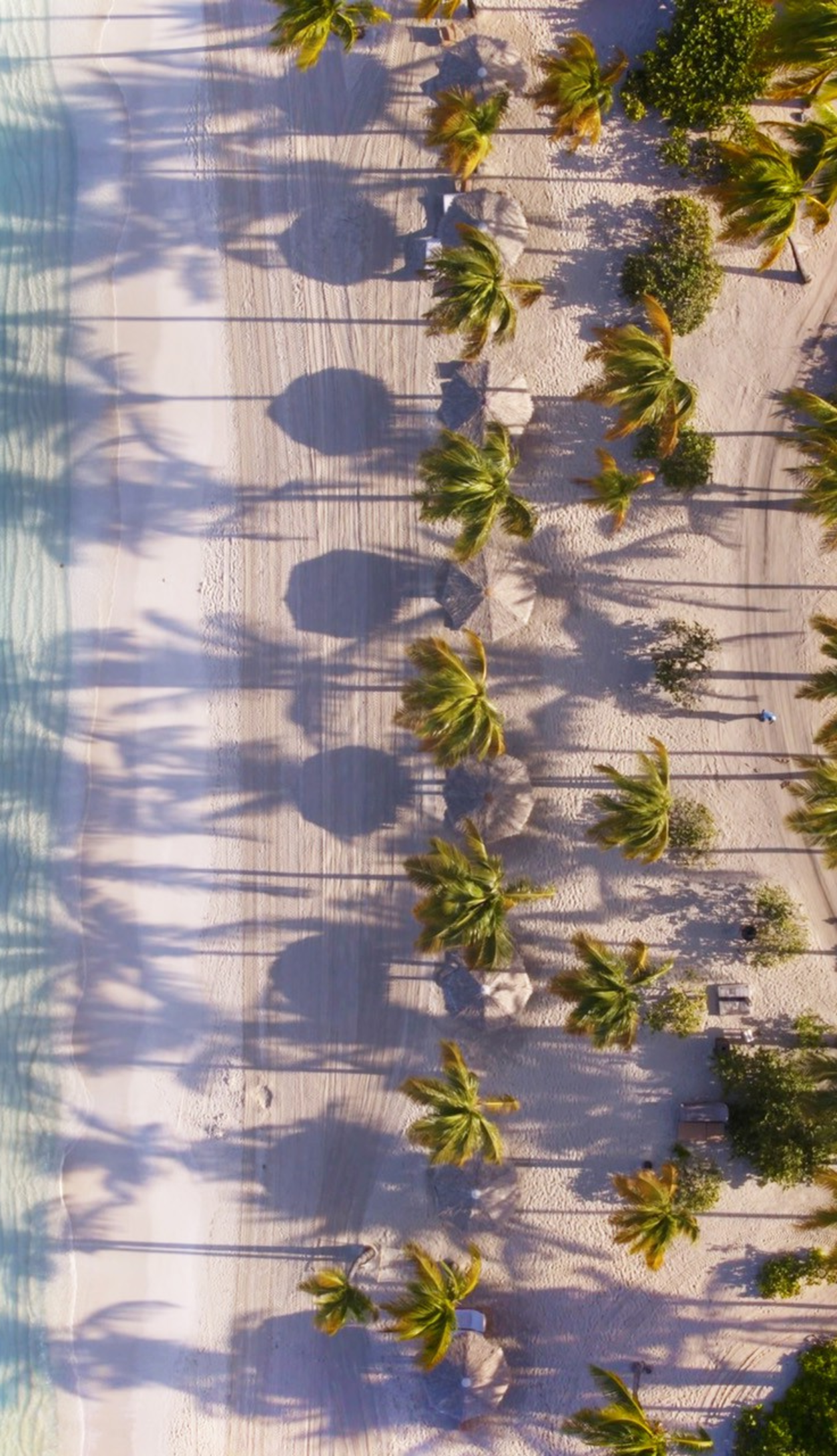 JBI - Destination - beach