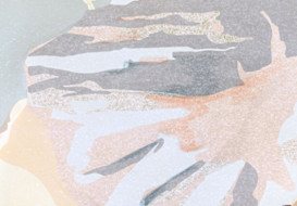 APG - Motif