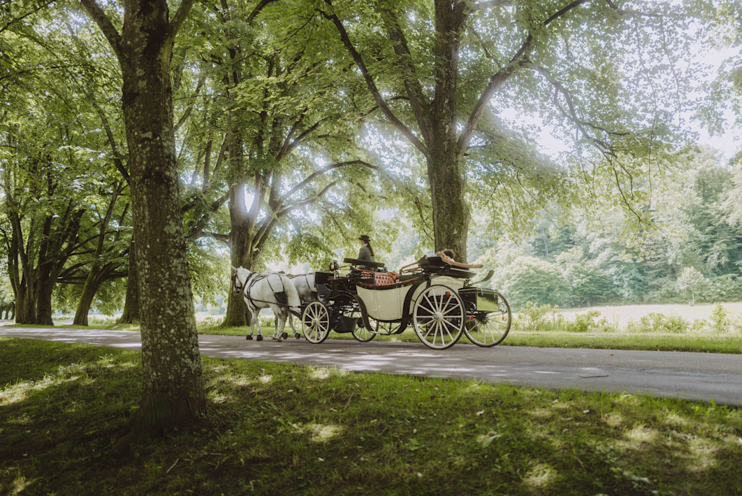 BPH - Activites - Carriage 