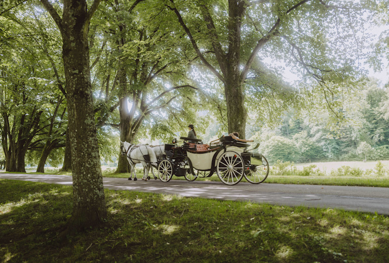 BPH - Activites - Carriage