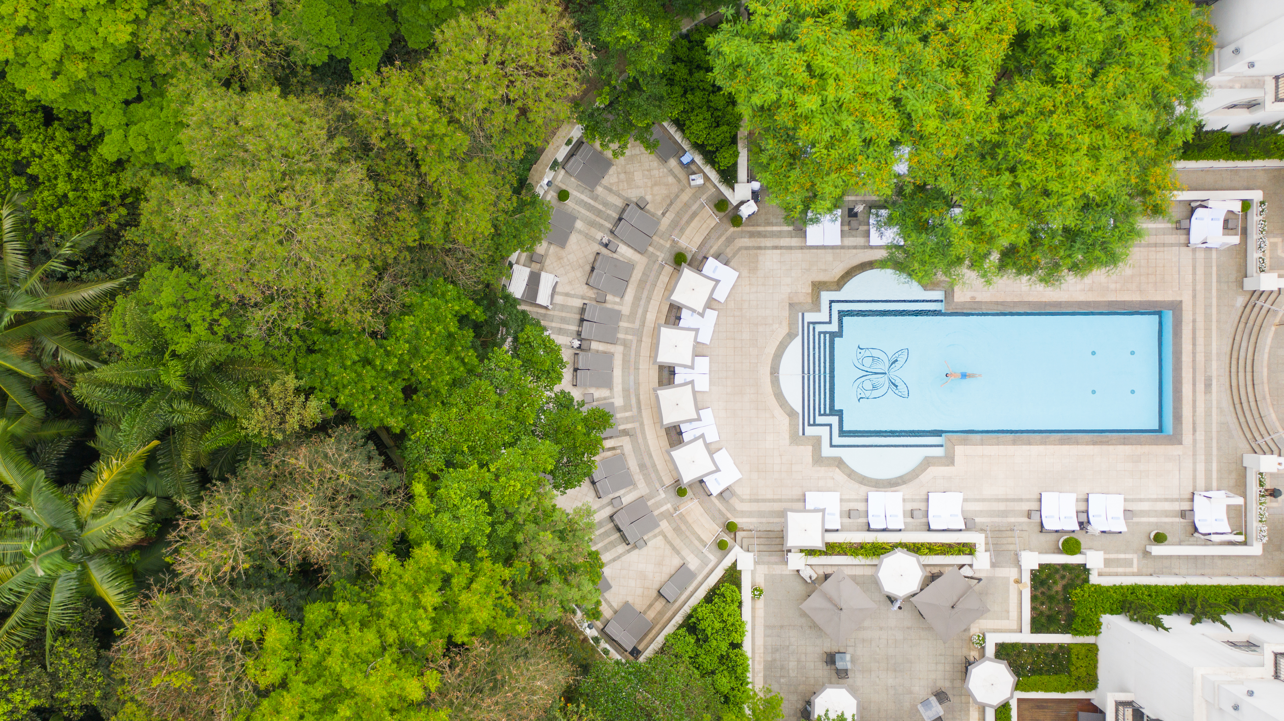 SAO - Pool aerial view