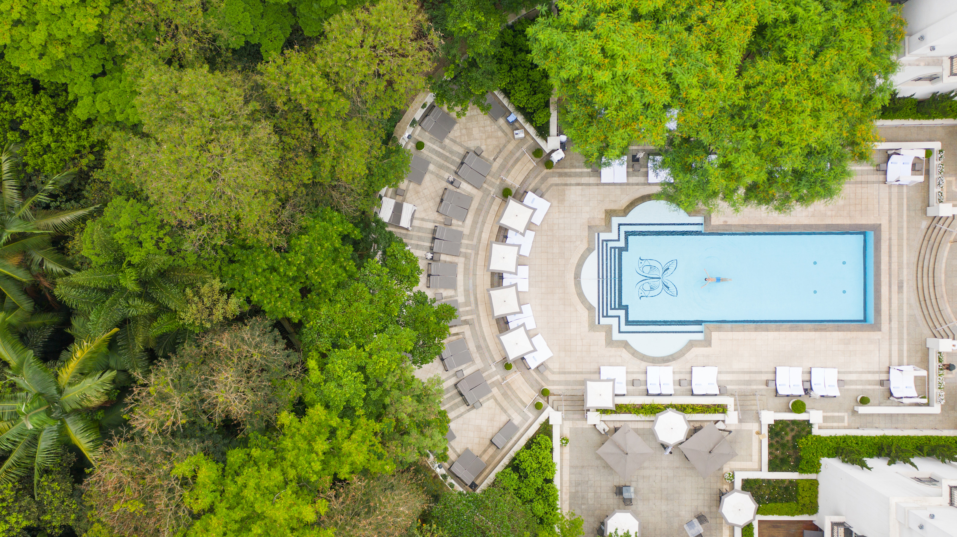 SAO - Pool aerial view