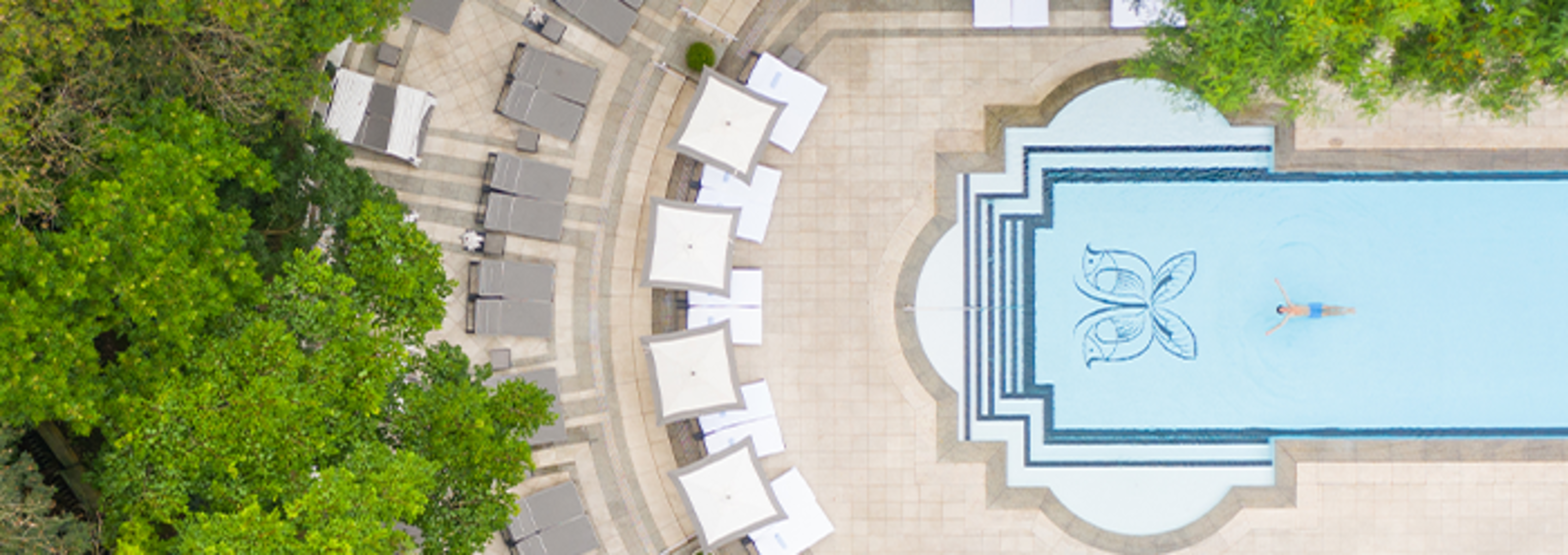 SAO - Pool aerial view