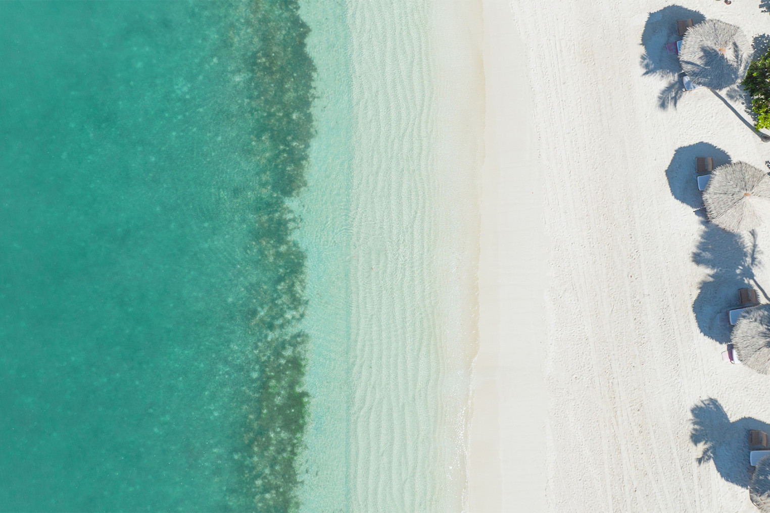 JBI PHOTO SOON AVAILABLE