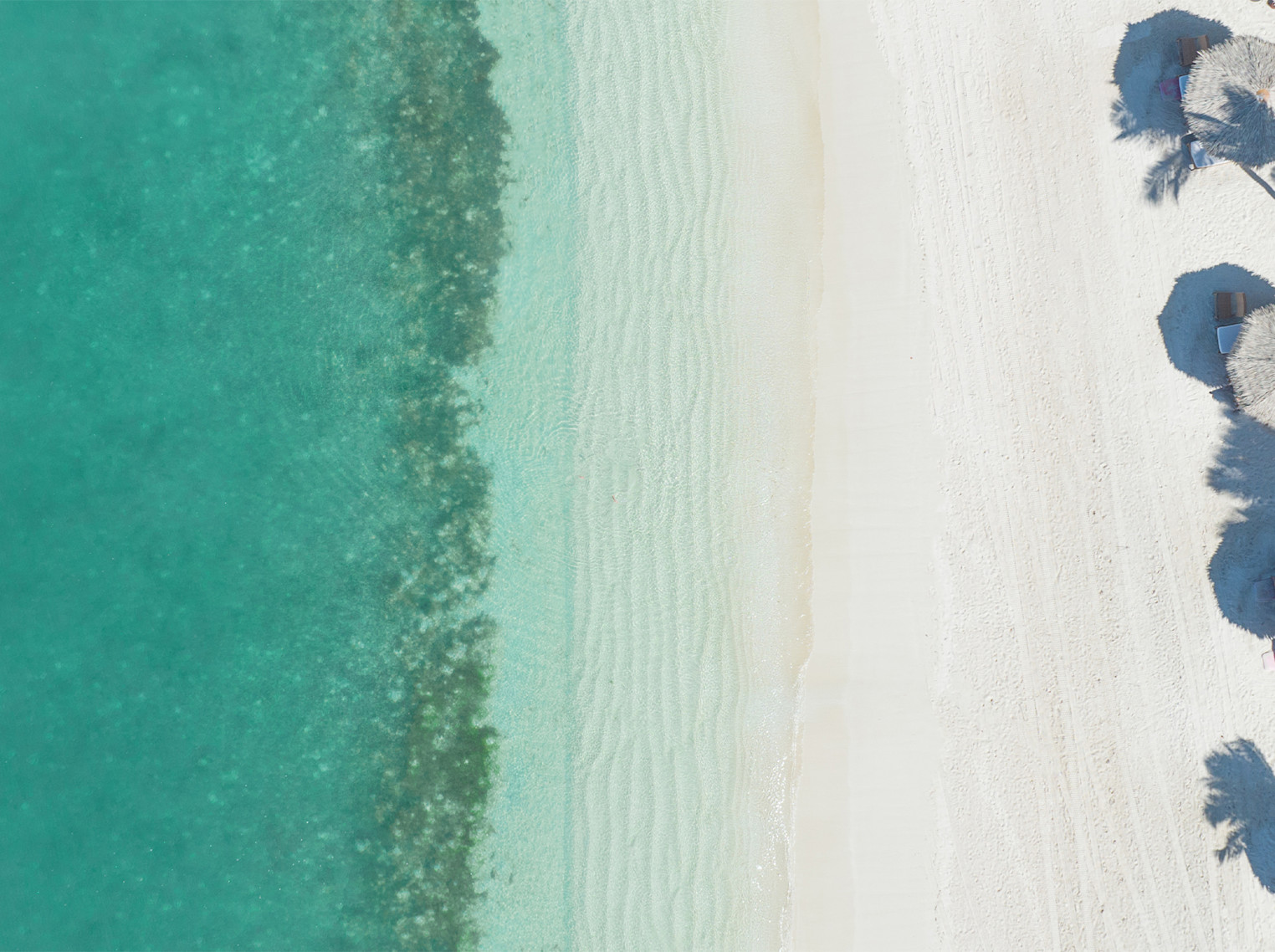 JBI PHOTO SOON AVAILABLE