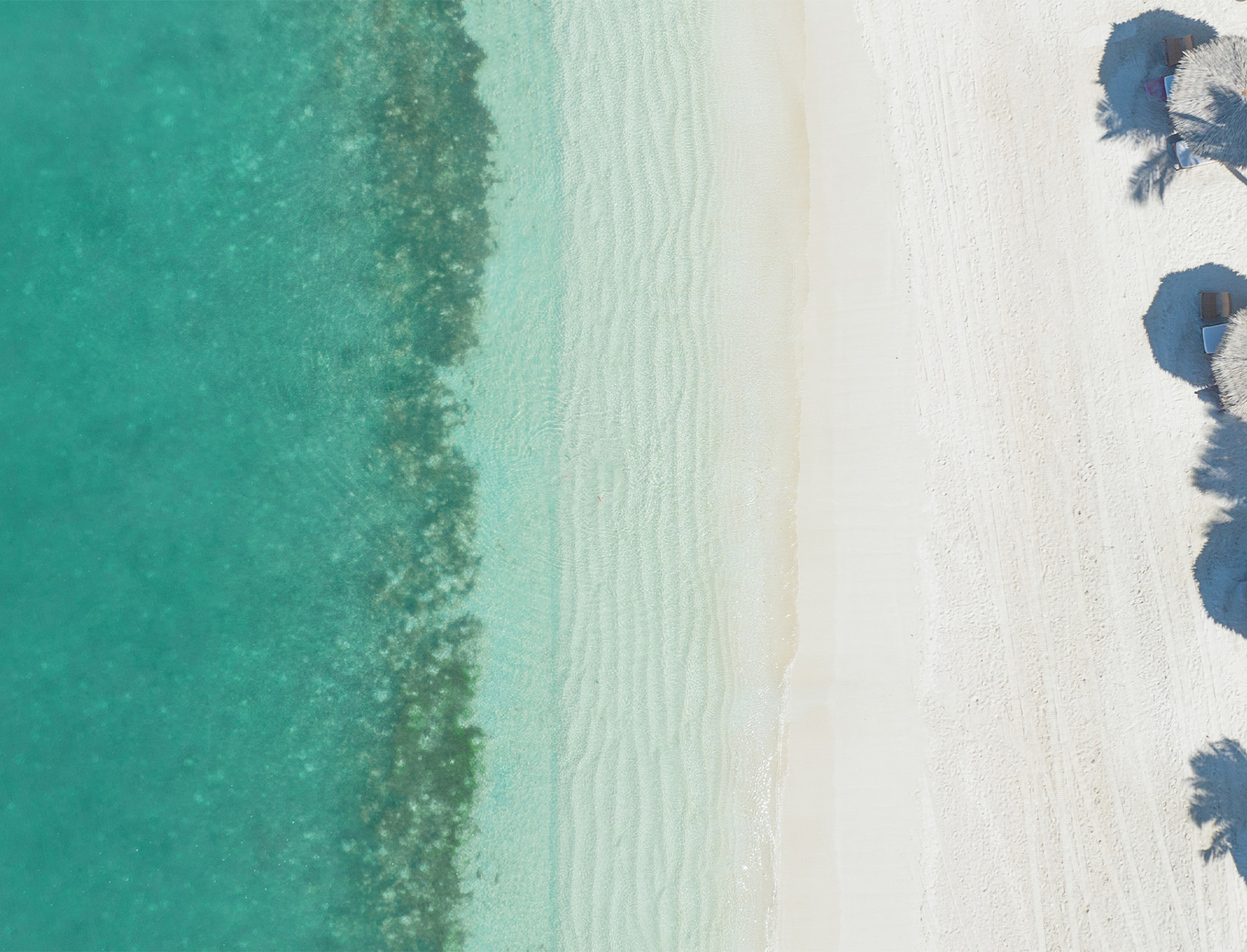 JBI PHOTO SOON AVAILABLE