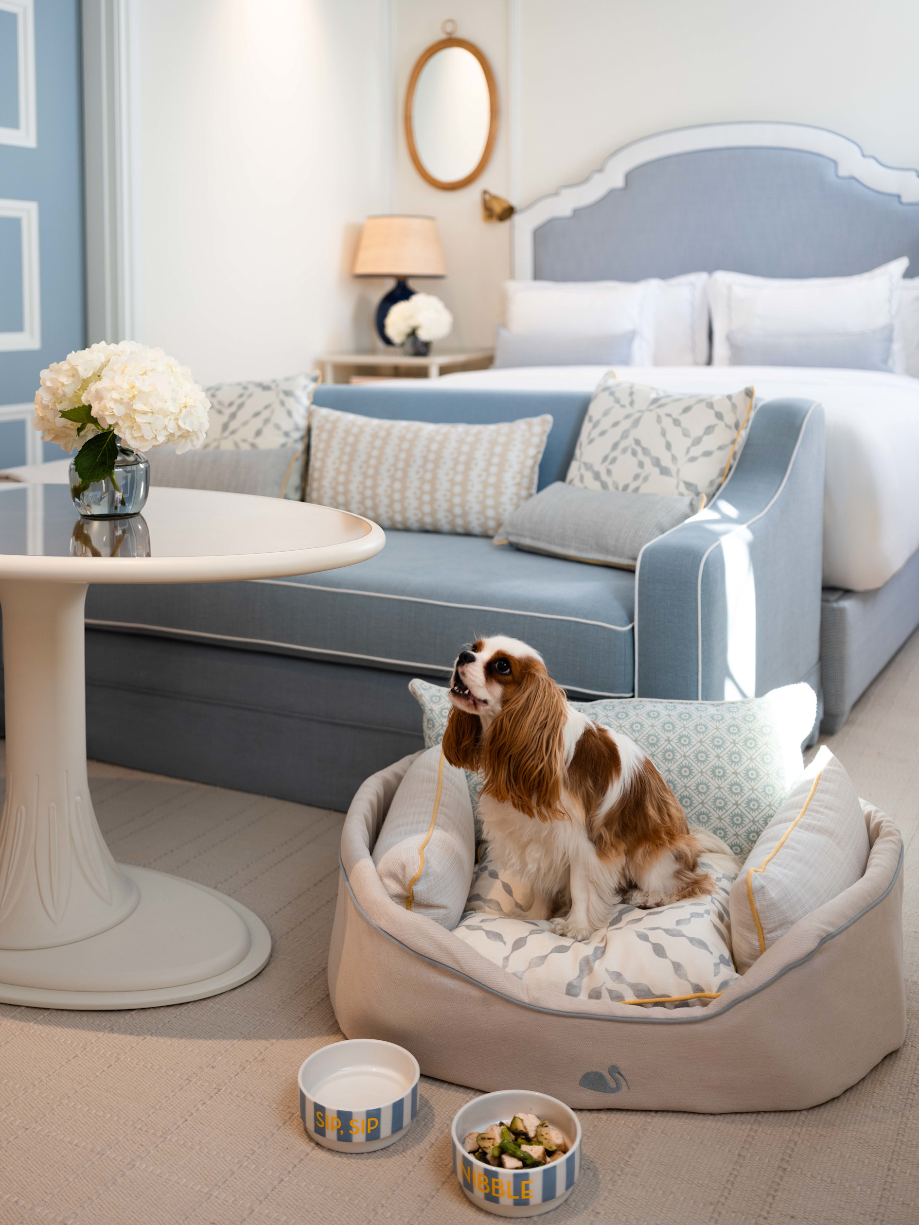 VIN - Experience page - kids w dog