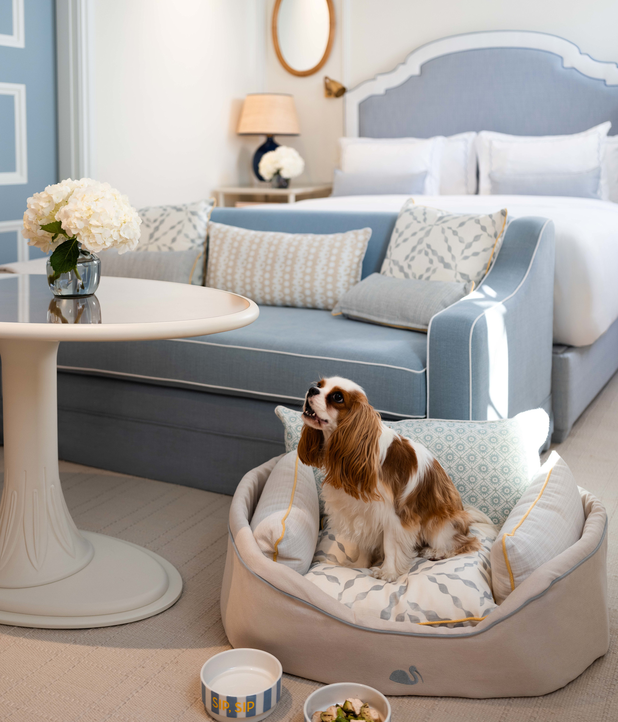 VIN - Experience page - kids w dog