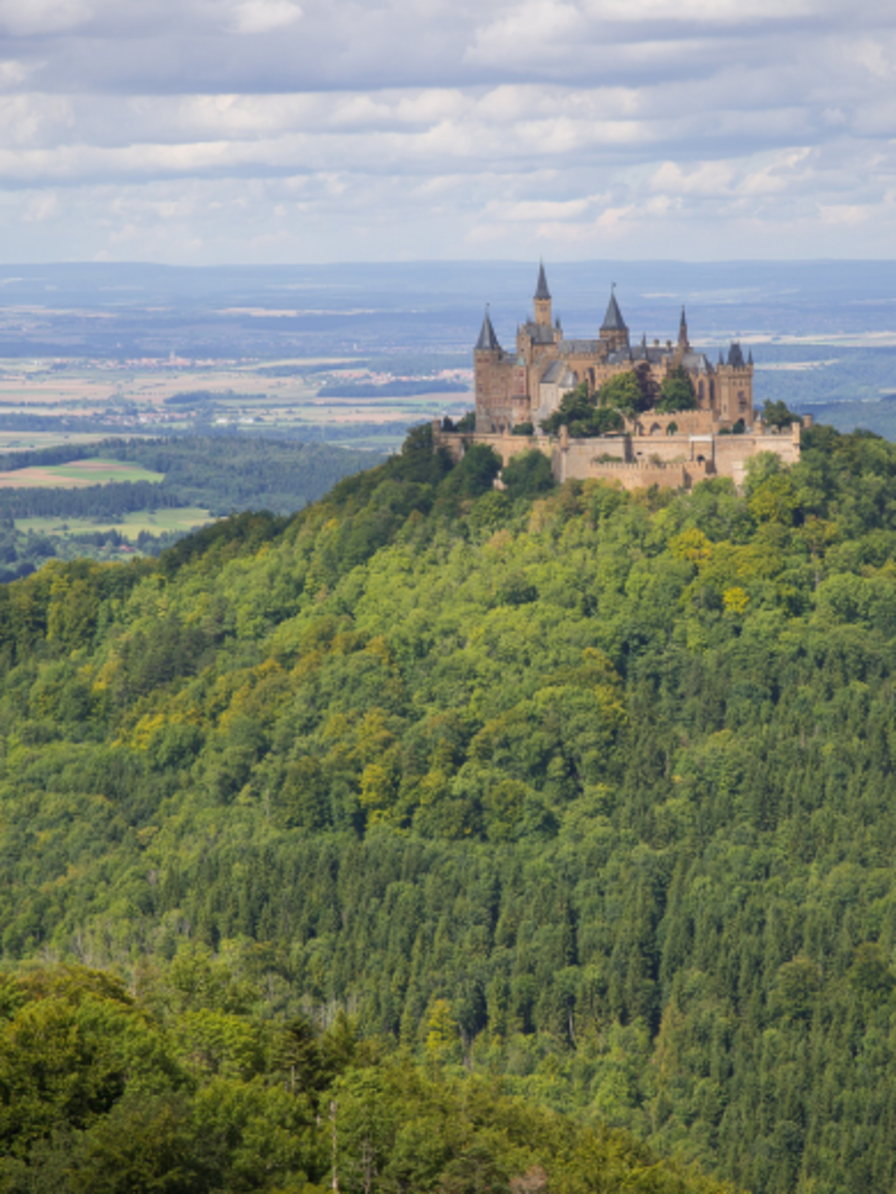 LBP -we du sommelier jura