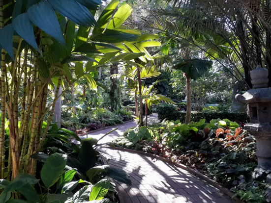 VIN-SocietyofFourArts