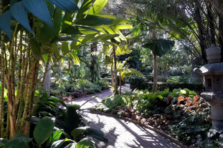 VIN-SocietyofFourArts