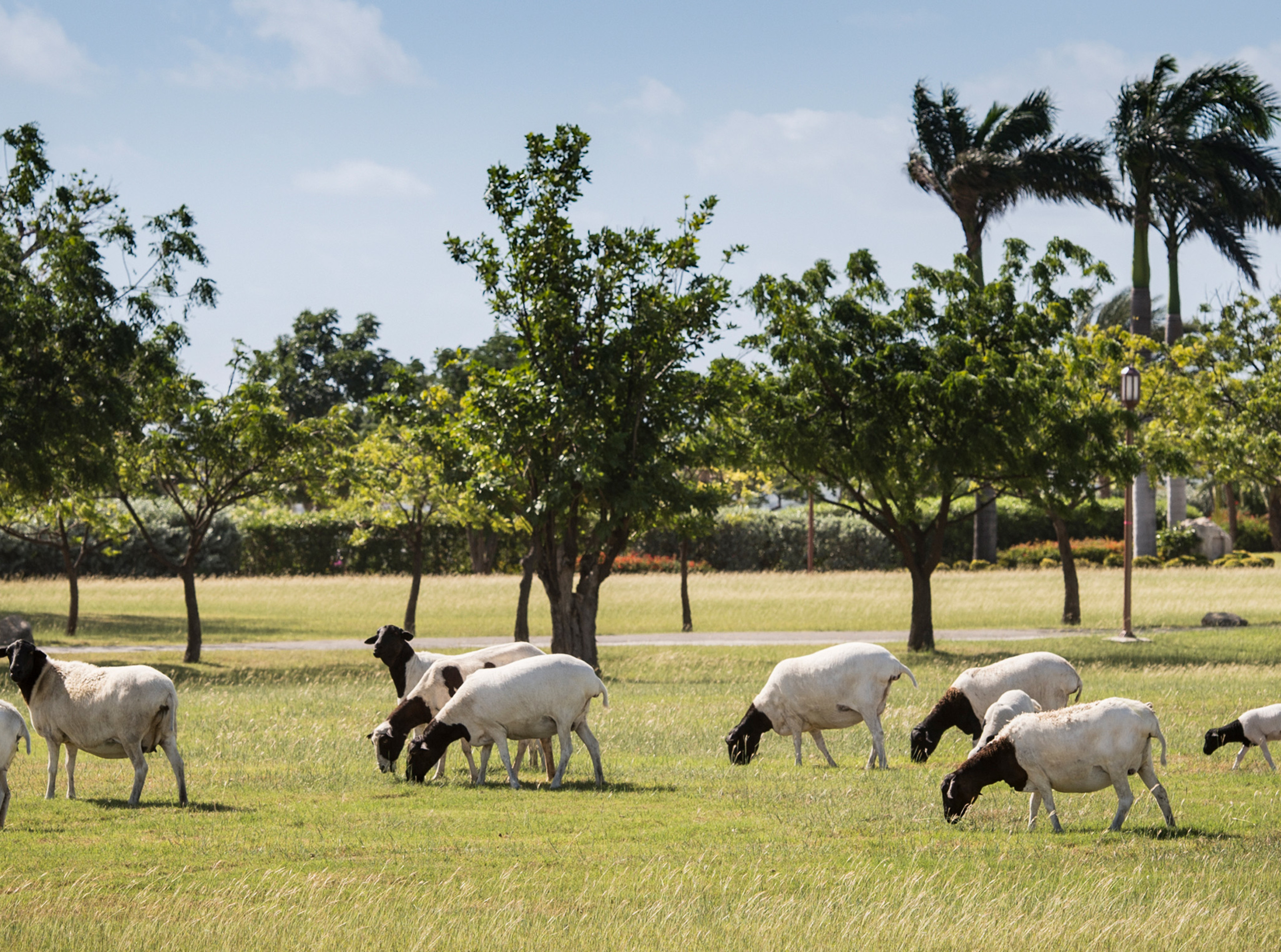 JBI - Destination - Sustainability