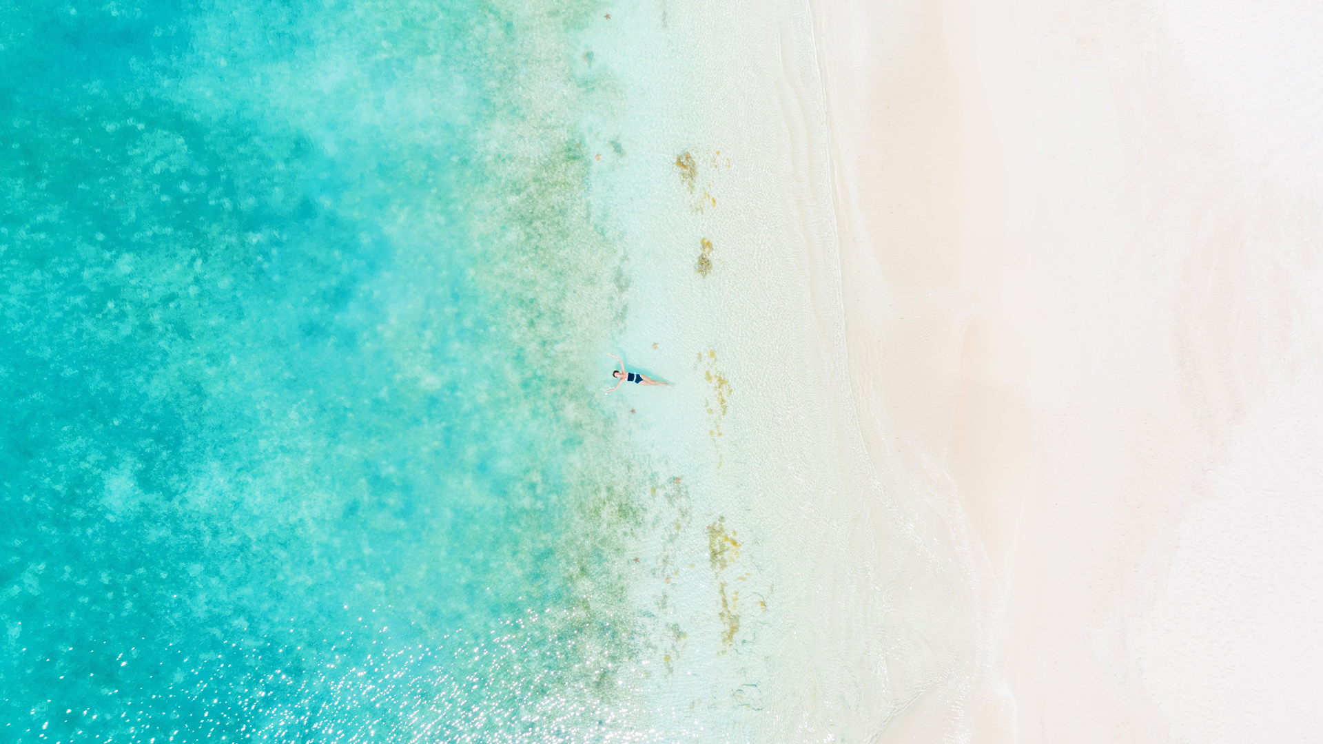 JBI - Beach aerial shot