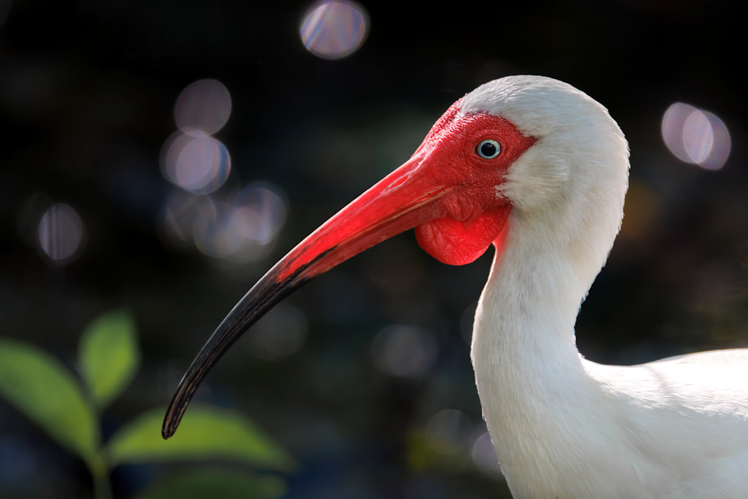 VNT - Sustainability