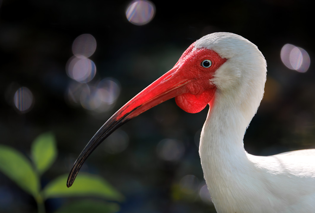 VNT - Sustainability