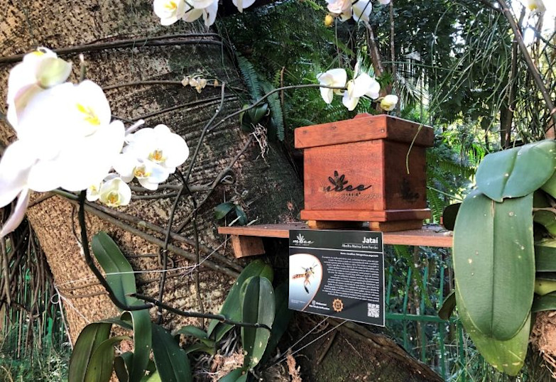 SAO - Save the Bees