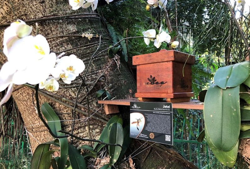 SAO - Save the Bees