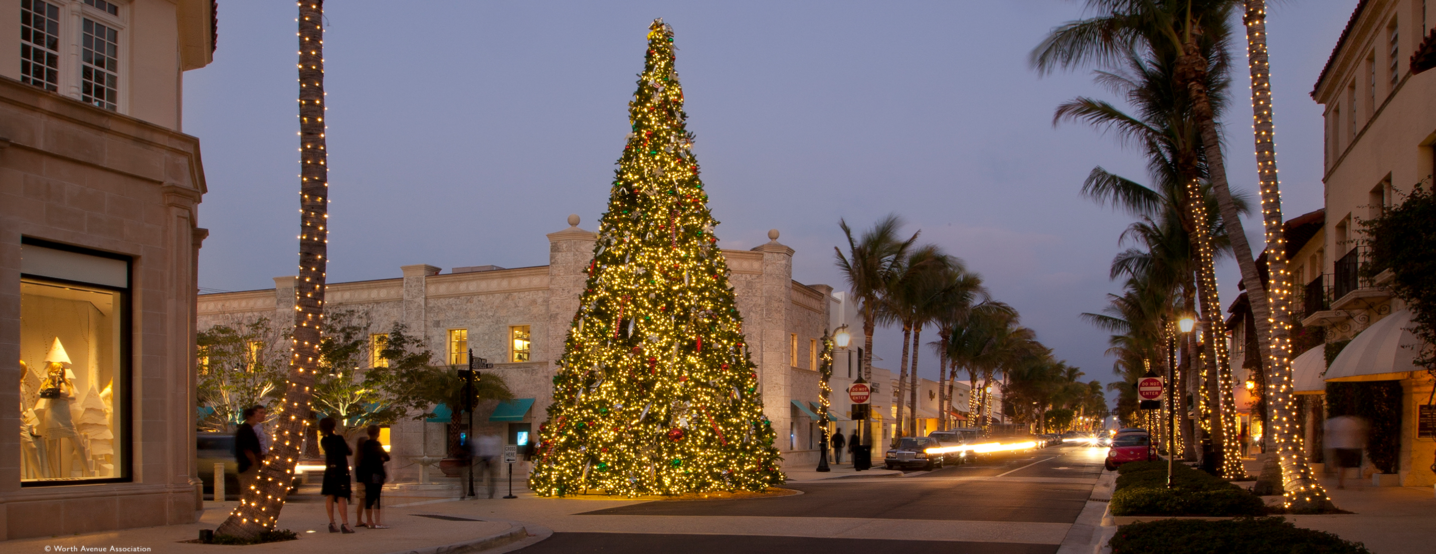 VIN - festive page - header christmas tree