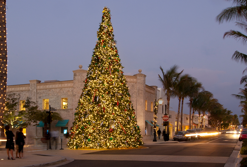 VIN - festive page - header christmas tree