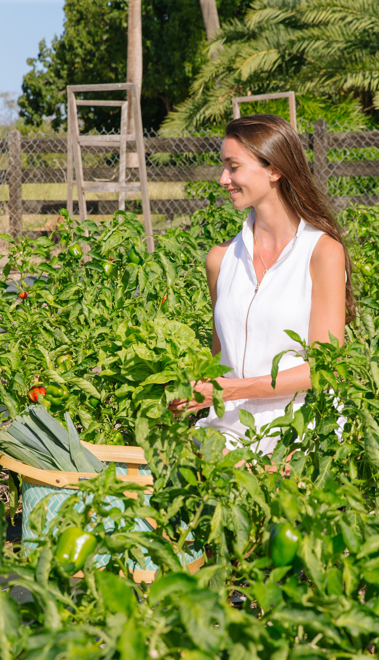 JBI - Nature walk - farm