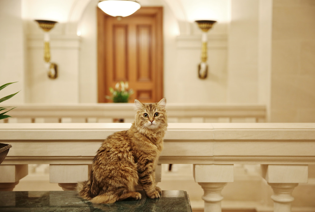 Lilibet - The Lanesborough