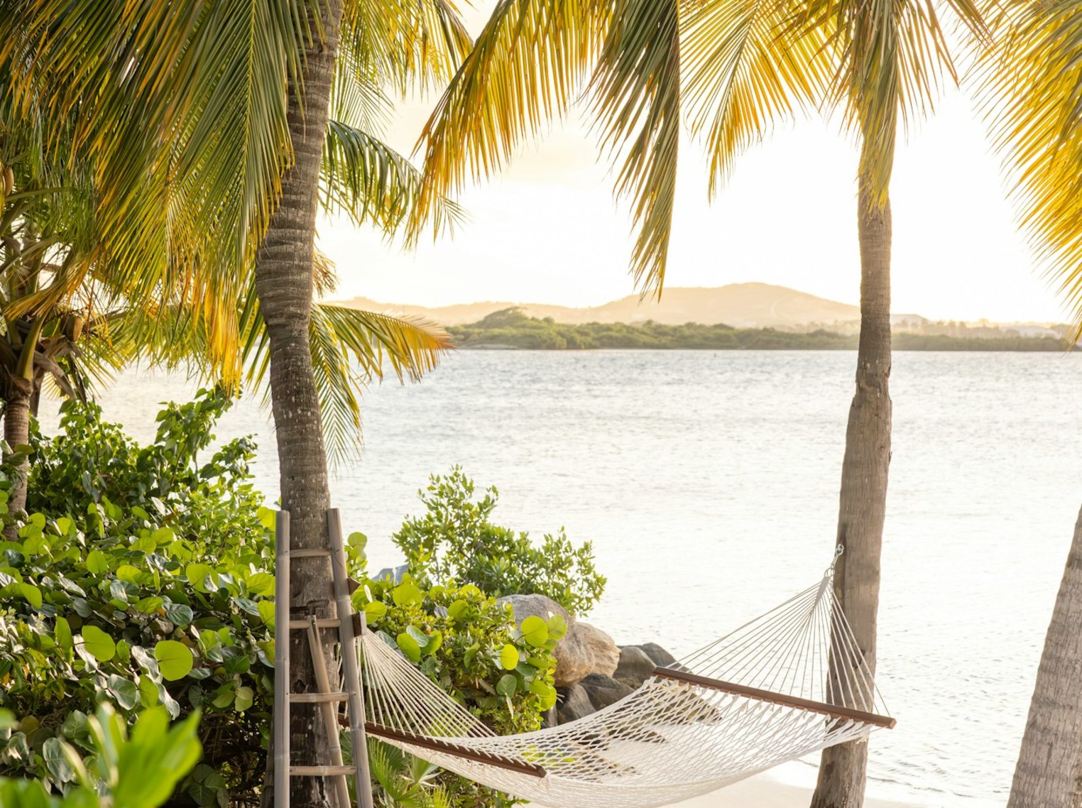 JBI - Room VSDC - Image 16