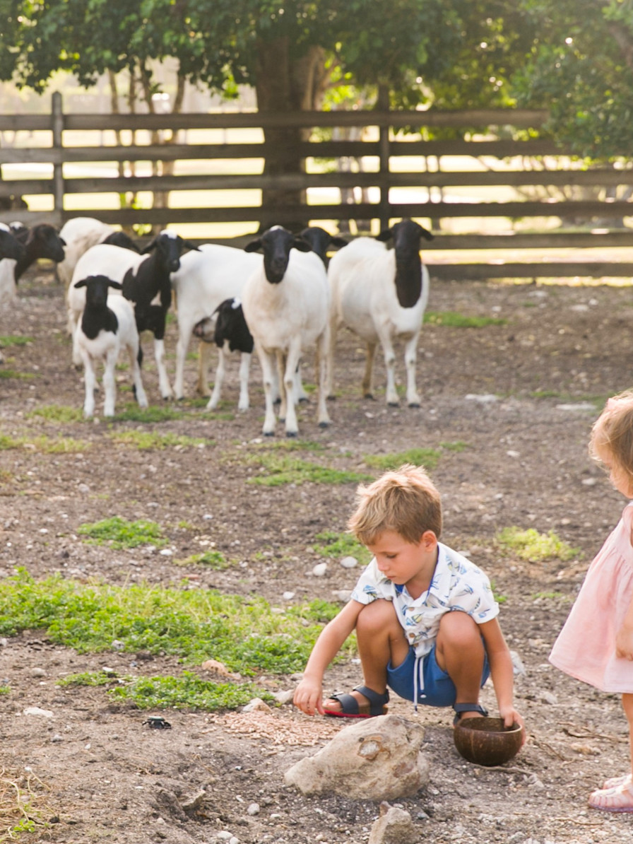 JBI - Kids playing at the farm