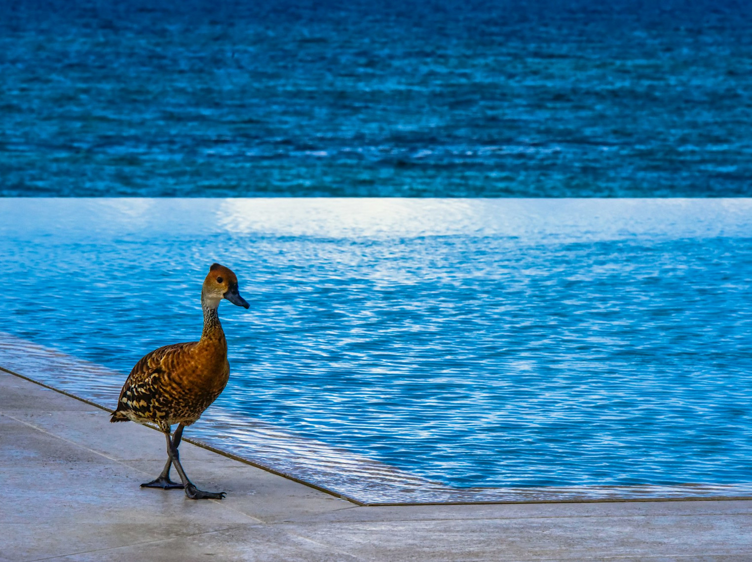 JBI - Room XPUR - Image 17