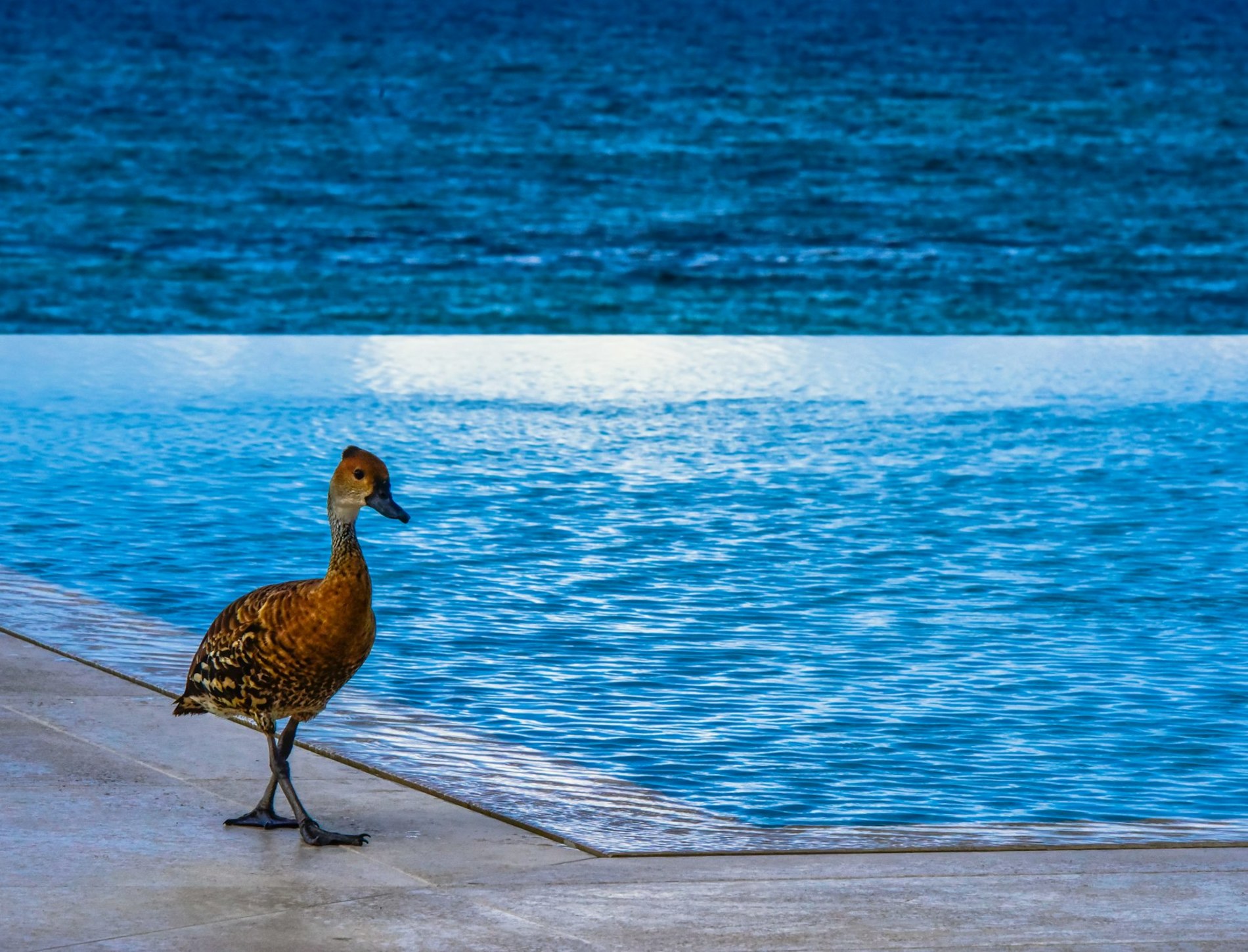 JBI - Room XPUR - Image 17