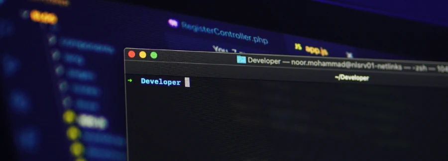 interactive web