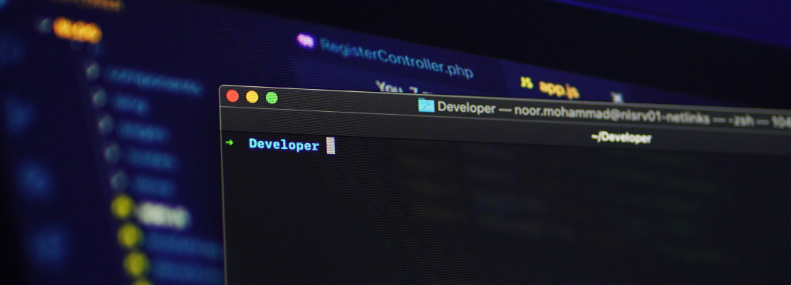 interactive web
