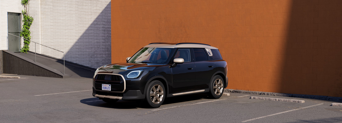 countryman web