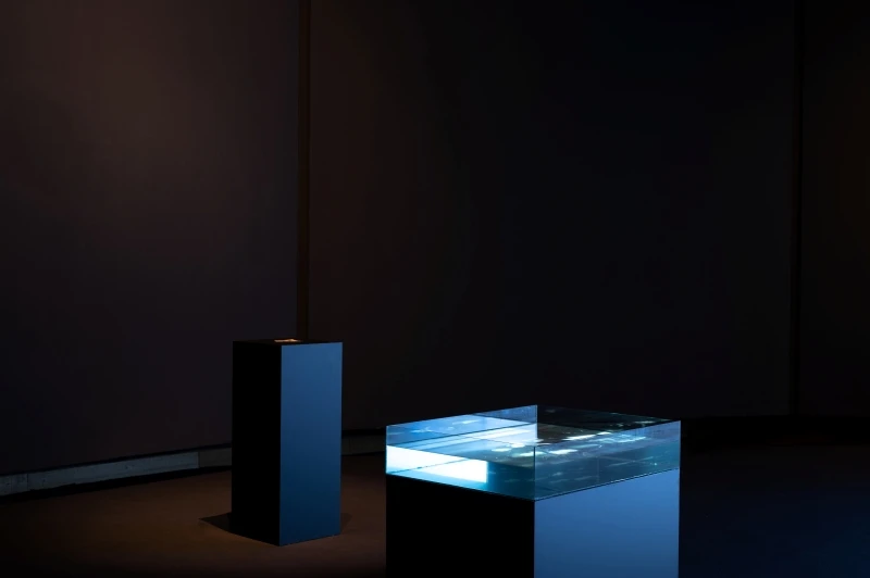 Digital Natives 6
