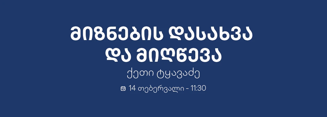 miznebi web